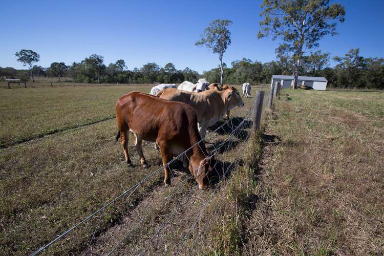 Sixth view of Homely residentialLand listing, 14 MAROOLINGAH RD, Agnes Water QLD 4677