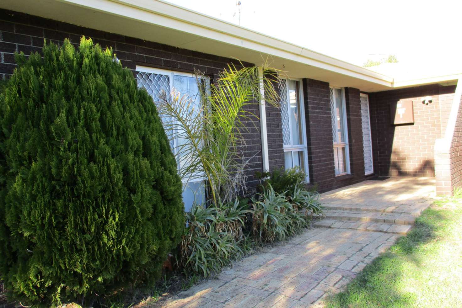 Main view of Homely house listing, 19 Jacaranda Crescent, Withers WA 6230