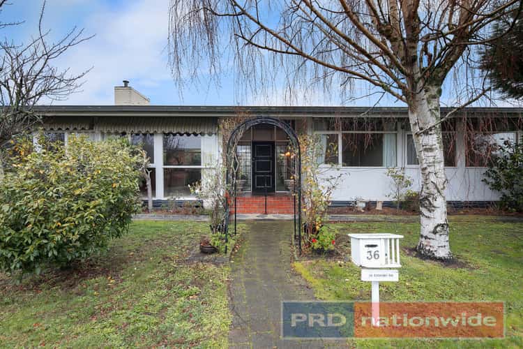 Main view of Homely house listing, 36 Beaufort Avenue, Alfredton VIC 3350