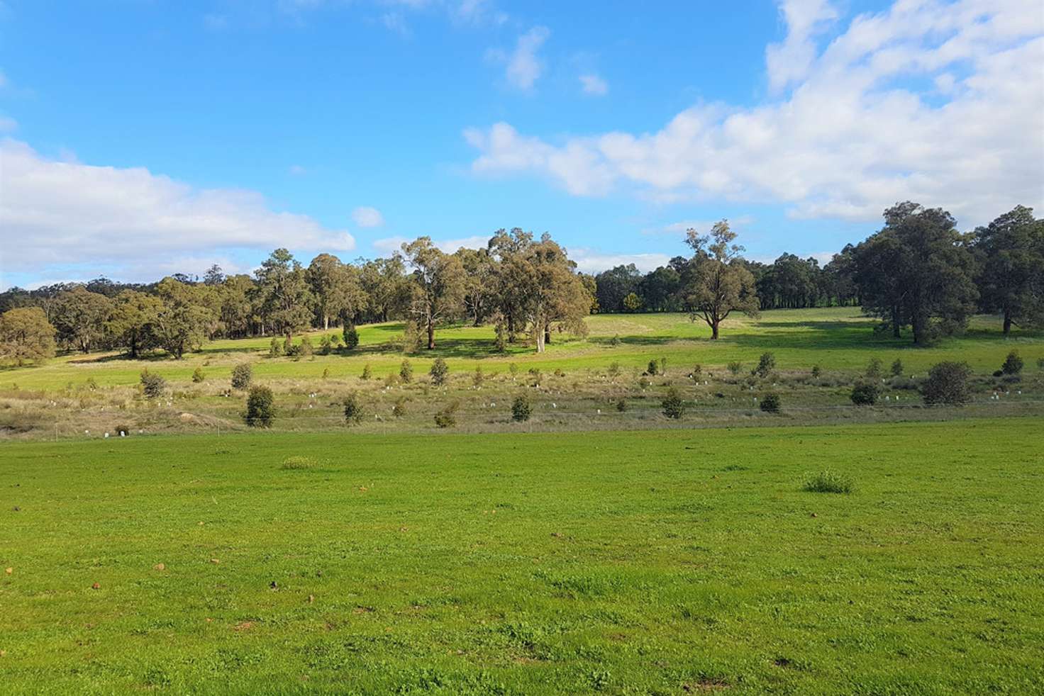 Main view of Homely residentialLand listing, Lot 602 Linley Valley Road, Wooroloo WA 6558