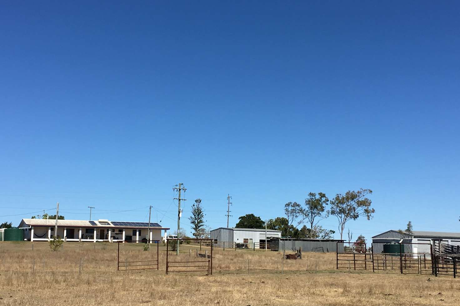 Main view of Homely livestock listing, 537 Milman Road, Milman QLD 4702