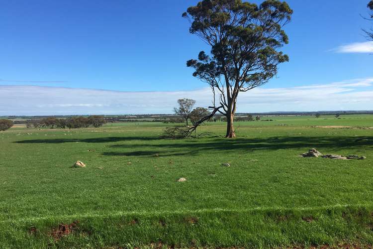 Fifth view of Homely cropping listing, Lot 617 Nambling North Road, Dowerin WA 6461