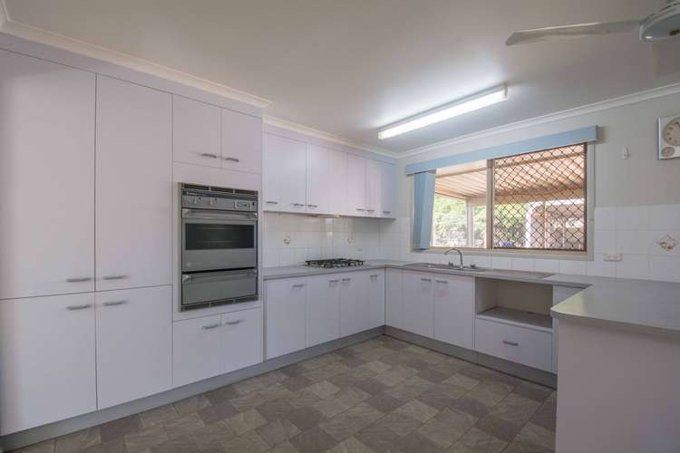 Main view of Homely house listing, 19 Ferny Avenue, Avoca QLD 4670