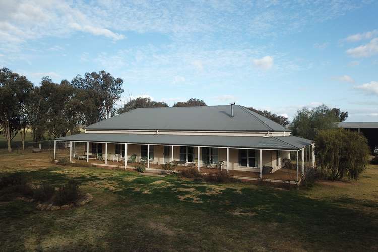 Main view of Homely acreageSemiRural listing, 449 Dyces Lane, Coolamon NSW 2701