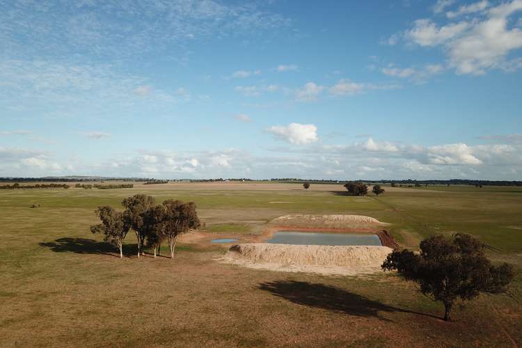 Fifth view of Homely acreageSemiRural listing, 449 Dyces Lane, Coolamon NSW 2701