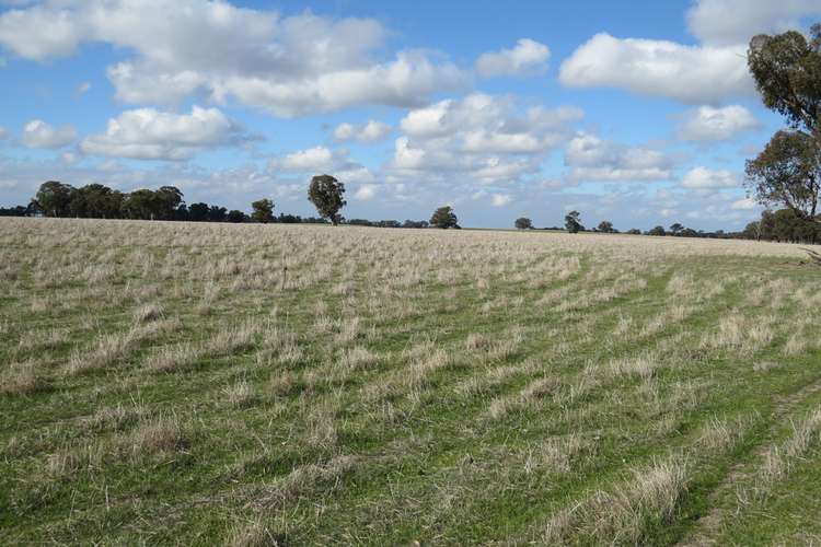 Third view of Homely mixedFarming listing, 1271 Jerilderie Road, Berrigan NSW 2712