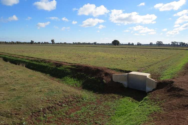 Fifth view of Homely mixedFarming listing, 1271 Jerilderie Road, Berrigan NSW 2712