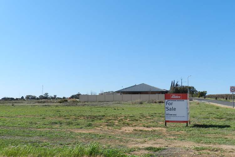Main view of Homely residentialLand listing, 58 Phillips Road, Berri SA 5343