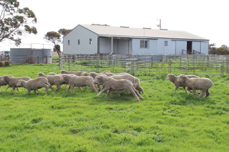 Second view of Homely mixedFarming listing, 907 Pascoe Road, Coonalpyn SA 5265