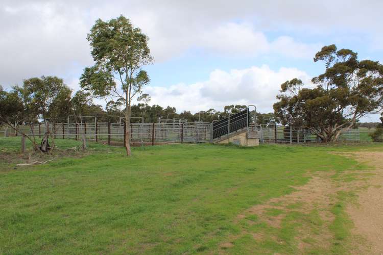 Third view of Homely mixedFarming listing, 907 Pascoe Road, Coonalpyn SA 5265