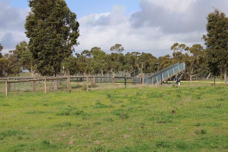 Fourth view of Homely mixedFarming listing, 907 Pascoe Road, Coonalpyn SA 5265