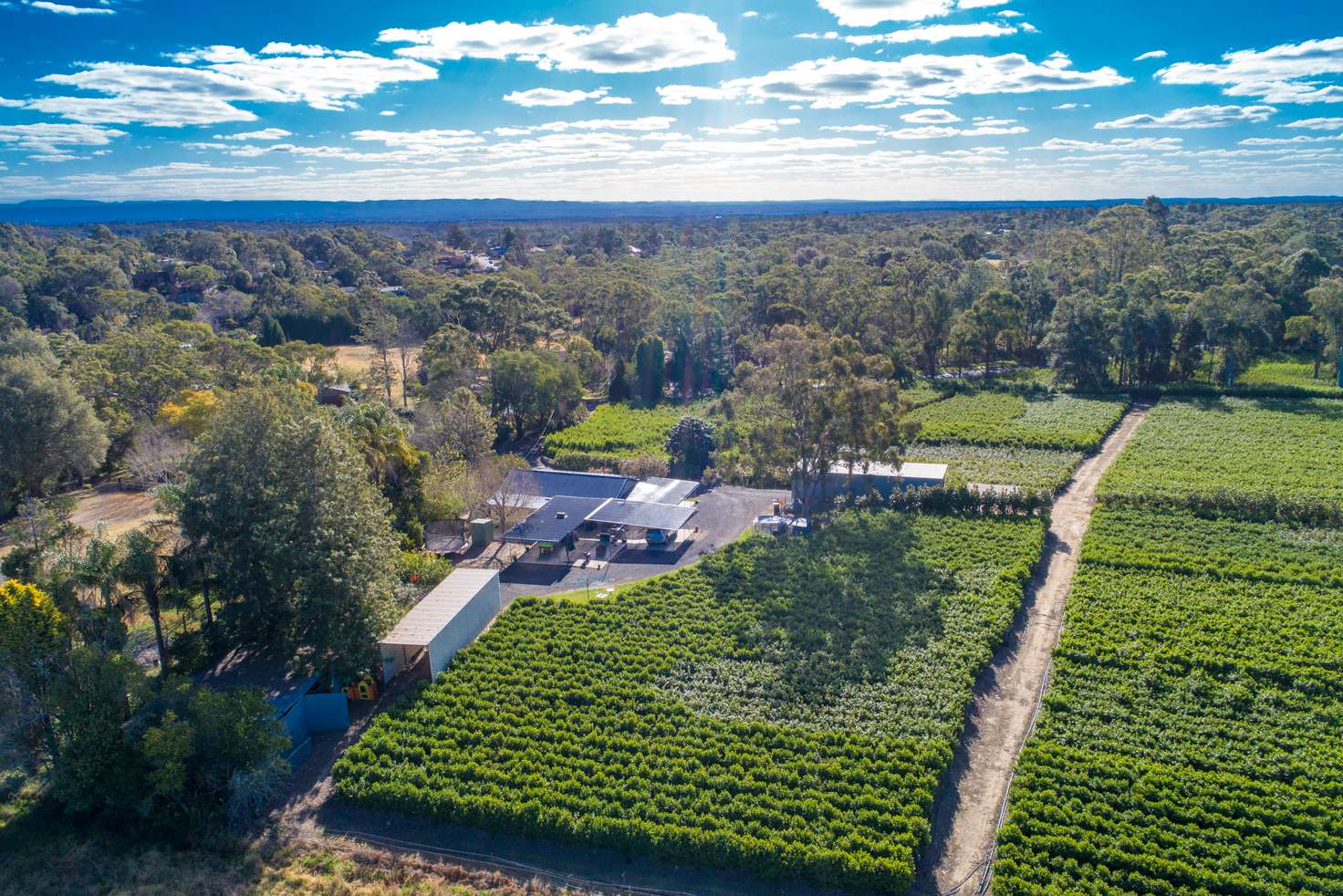 Main view of Homely acreageSemiRural listing, 18 Cairnes Road, Glenorie NSW 2157