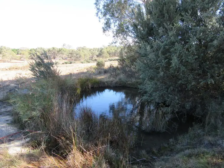 Sixth view of Homely rural property listing, 2874 Peak View Rd, Peak View NSW 2630
