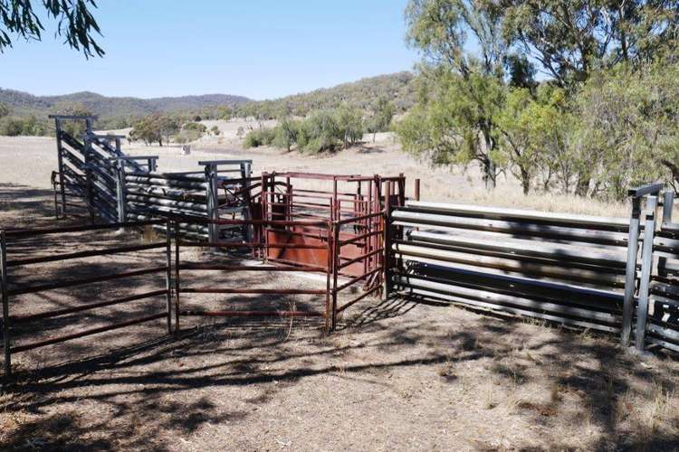 Third view of Homely mixedFarming listing, 325 ACRES GRAZING LIFESTYLE, Bell QLD 4408