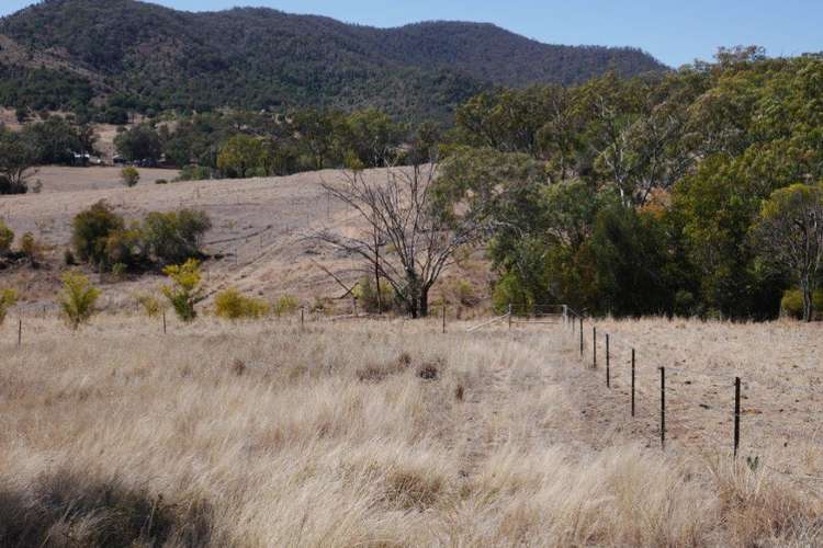 Fifth view of Homely mixedFarming listing, 325 ACRES GRAZING LIFESTYLE, Bell QLD 4408