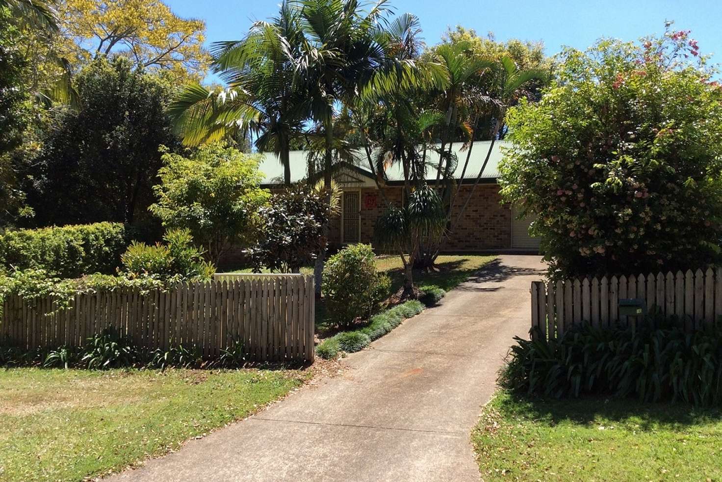 Main view of Homely house listing, 16 Camelia Court, Palmwoods QLD 4555