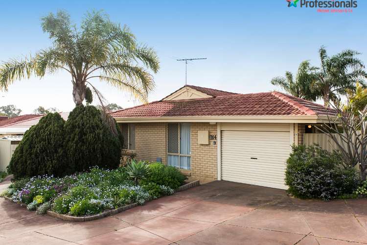 Main view of Homely house listing, 14/80 Shepherds Bush Drive, Kingsley WA 6026