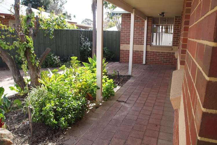 Second view of Homely unit listing, 3/86 Ivanhoe Street, Eden Hill WA 6054
