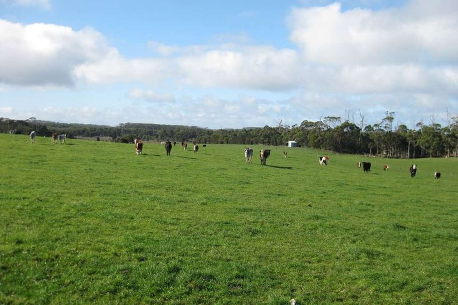 Main view of Homely livestock listing, . Chequers Road, Marrawah TAS 7330