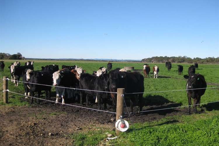 Main view of Homely livestock listing, 202 Old Port Road, Montagu TAS 7330