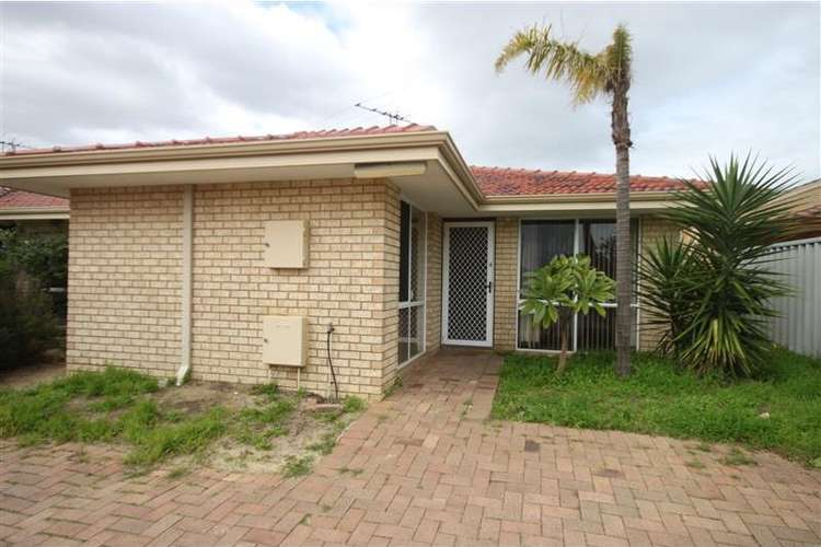 Main view of Homely house listing, 4/84 Campion Avenue, Balcatta WA 6021