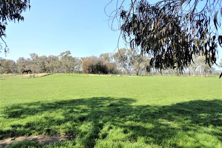 Seventh view of Homely farmlet listing, 541 Black Dog Creek Road, Chiltern VIC 3683