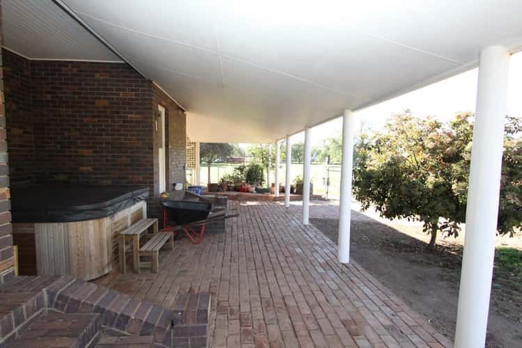 Fifth view of Homely house listing, 6 Urana Street, The Rock NSW 2655