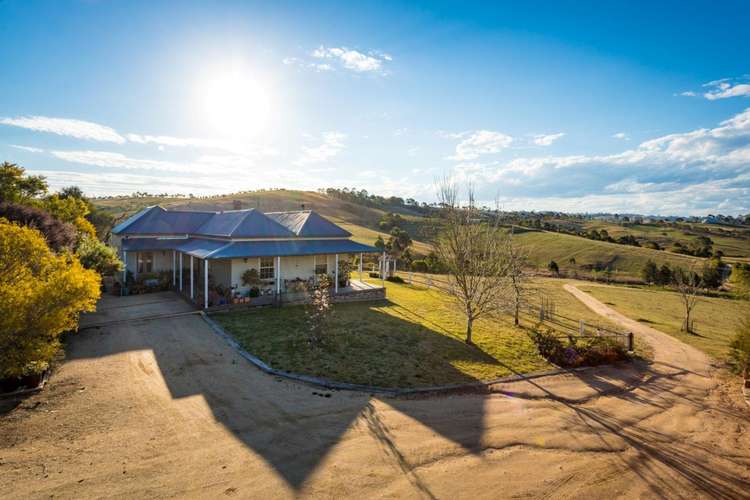 Third view of Homely livestock listing, 80 Taylor Road, Buckajo NSW 2550