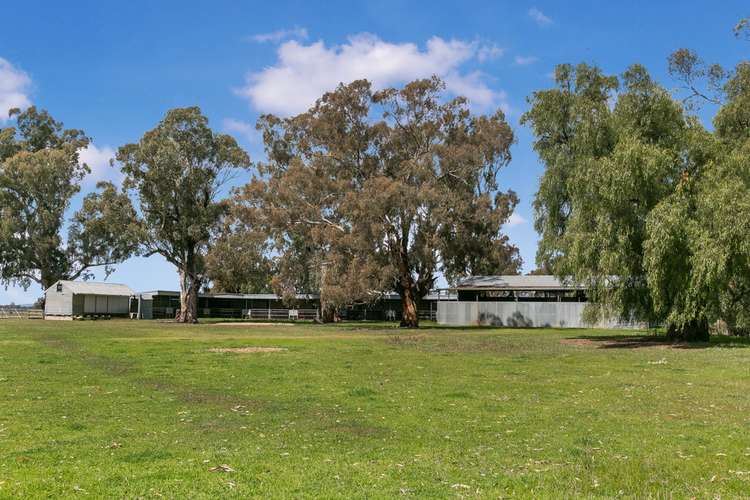 Sixth view of Homely livestock listing, 305 & 320 Ross Road, Arcadia VIC 3631