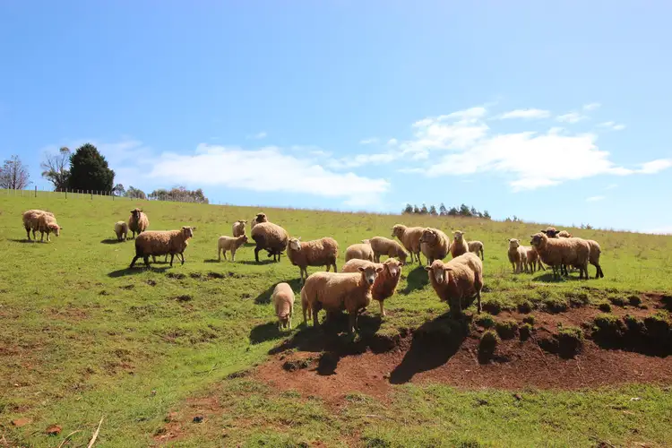 Second view of Homely house listing, 60 Kindred Road, Forth TAS 7310