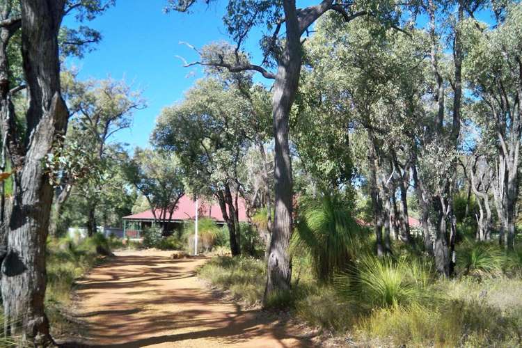 Main view of Homely house listing, 26 Red Poll Court, Lower Chittering WA 6084