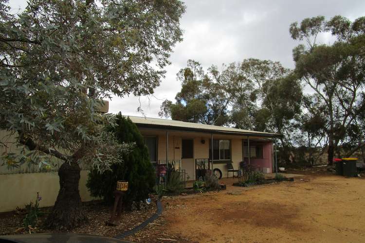 Main view of Homely house listing, 319 Caddy Road, Barmera SA 5345