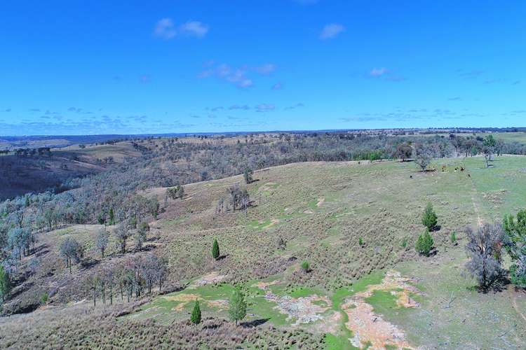 Seventh view of Homely livestock listing, 5071 Ashford Road, Inverell NSW 2360