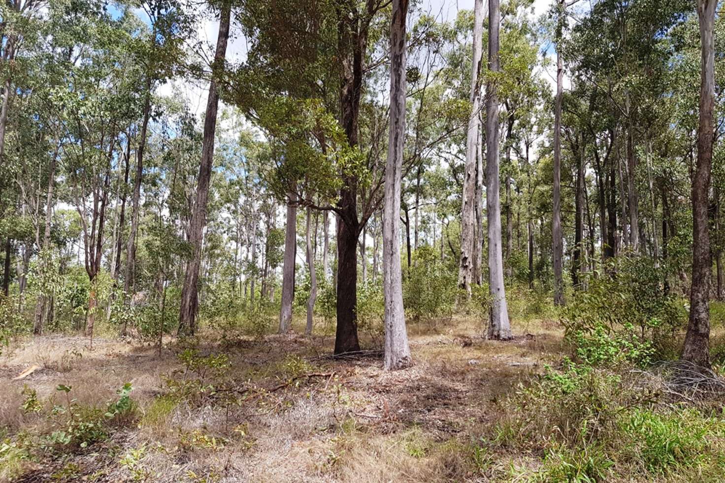 Main view of Homely residentialLand listing, Lot 617 Arbortwentynine Road, Glenwood QLD 4570