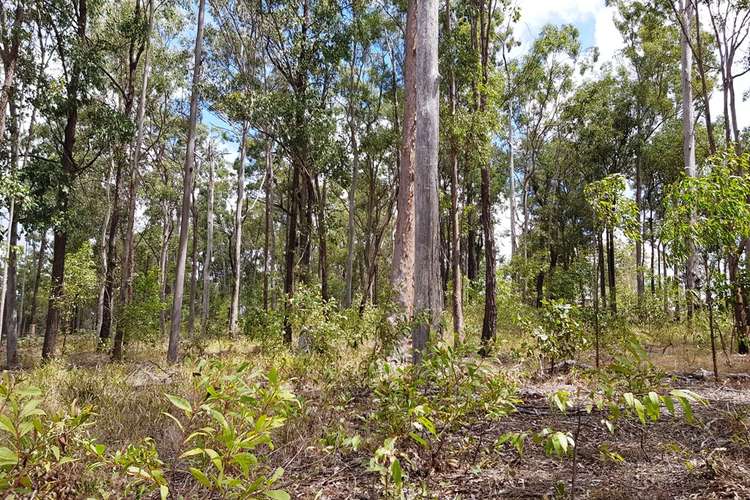 Third view of Homely residentialLand listing, Lot 617 Arbortwentynine Road, Glenwood QLD 4570