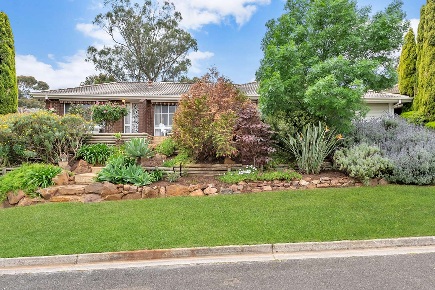 Main view of Homely house listing, 19 Banksia Road, Aberfoyle Park SA 5159