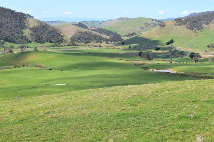 Second view of Homely livestock listing, 3973 Murray Valley Highway, Berringama VIC 3691