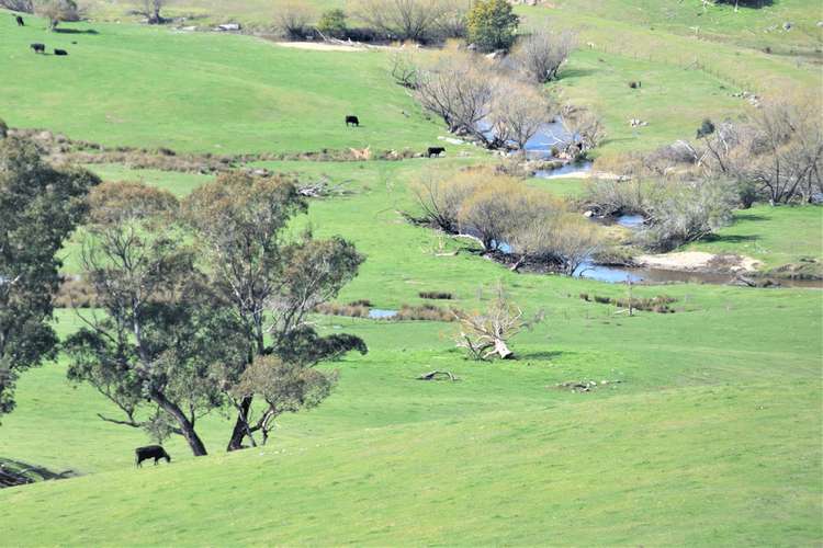 Third view of Homely livestock listing, 3973 Murray Valley Highway, Berringama VIC 3691