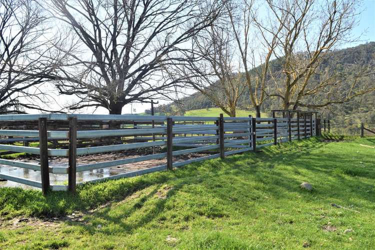 Fifth view of Homely livestock listing, 3973 Murray Valley Highway, Berringama VIC 3691