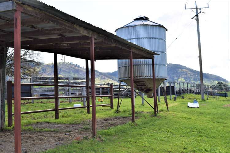 Seventh view of Homely livestock listing, 3973 Murray Valley Highway, Berringama VIC 3691