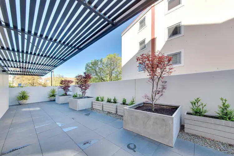 8/109 Canberra Avenue, Griffith ACT 2603