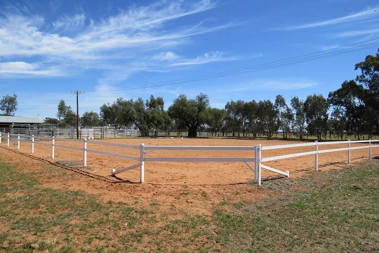 Fifth view of Homely mixedFarming listing, 1005 Riverina Highway, Berrigan NSW 2712