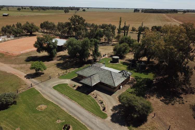 Sixth view of Homely mixedFarming listing, 1005 Riverina Highway, Berrigan NSW 2712