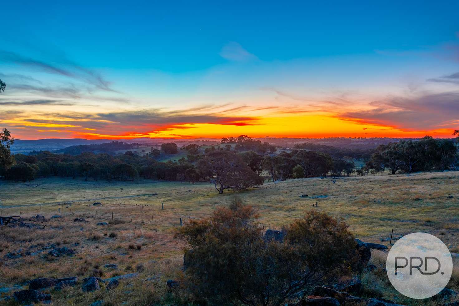 Main view of Homely acreageSemiRural listing, 669 Big Springs Road, Big Springs NSW 2650