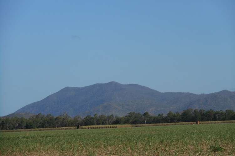 Fifth view of Homely residentialLand listing, Lot 155 Mackay-Eungella Road, Gargett QLD 4741