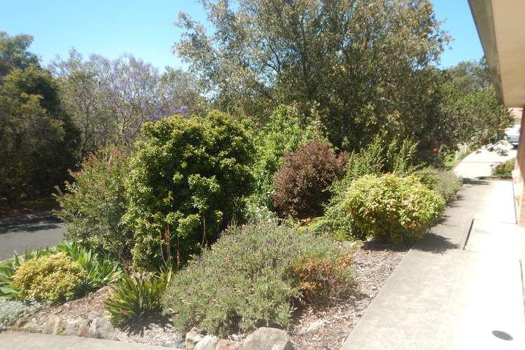 Third view of Homely house listing, 11 Nundah Close, Bomaderry NSW 2541