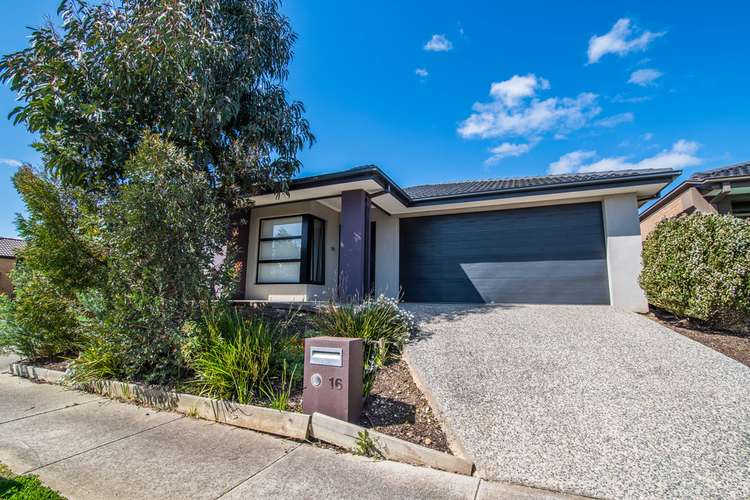 Main view of Homely house listing, 16 Ventasso Street, Clyde North VIC 3978