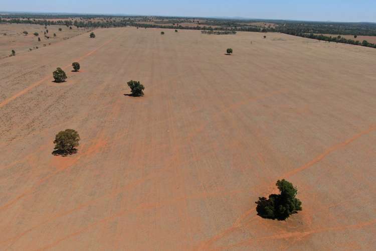 Second view of Homely mixedFarming listing, 1032 Manna Forest Road, Condobolin NSW 2877