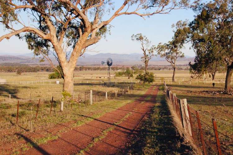 Main view of Homely acreageSemiRural listing, 774 "Hillsview" Moobi Road, Scone NSW 2337