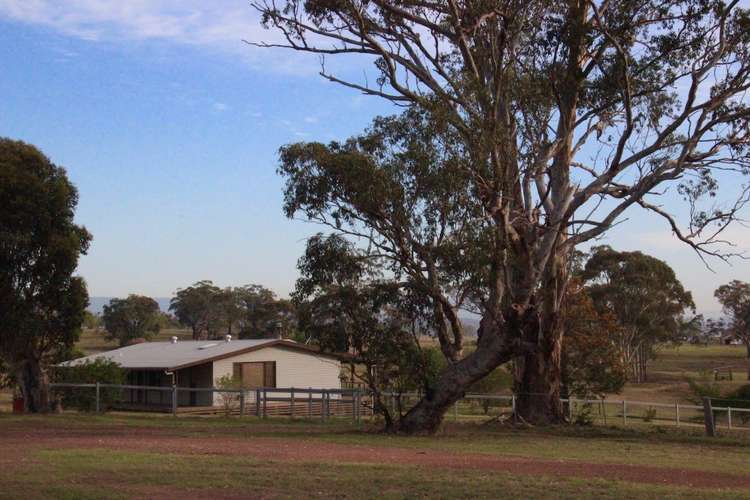 Seventh view of Homely acreageSemiRural listing, 774 "Hillsview" Moobi Road, Scone NSW 2337